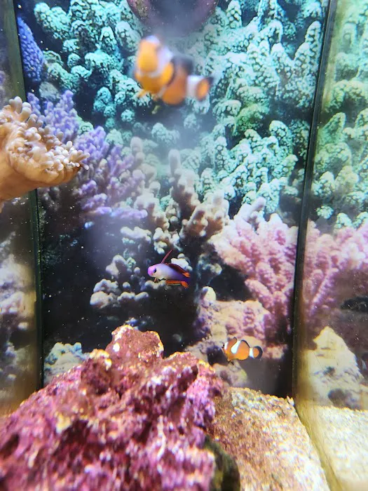 Petco Picture 10