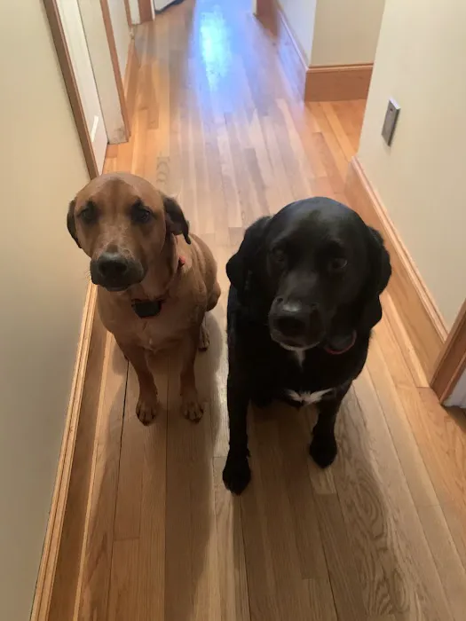 Family Pet Hospital Picture 3