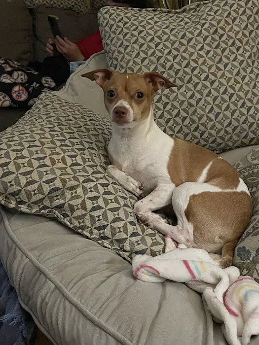 Family Pet Hospital Picture 6