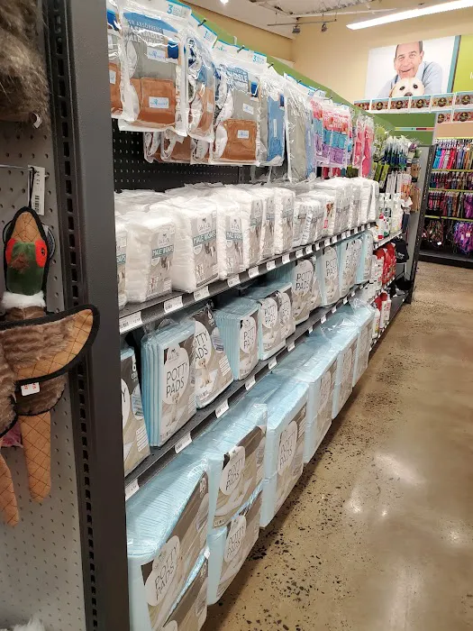 Hollywood Feed Picture 3