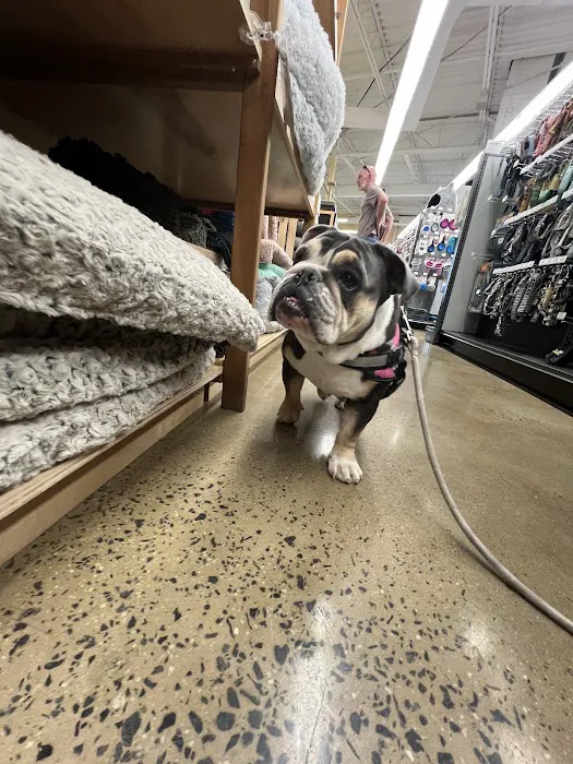 Hollywood Feed Picture 6