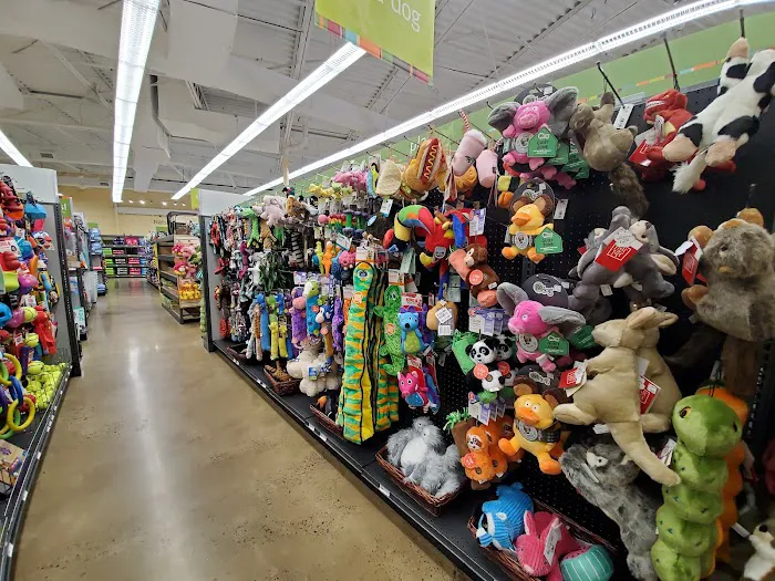 Hollywood Feed Picture 4