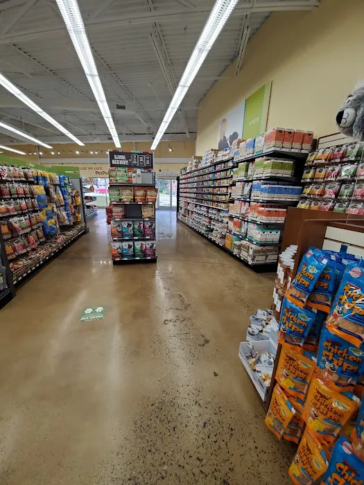 Hollywood Feed Picture 5