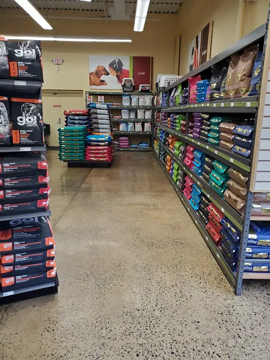 Hollywood Feed Picture 7