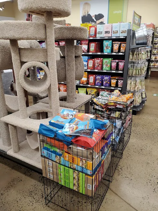 Hollywood Feed Picture 8