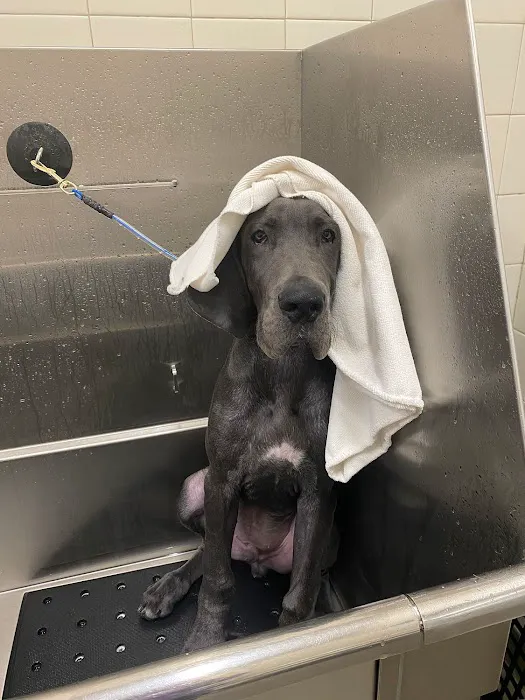 Hollywood Feed Picture 9