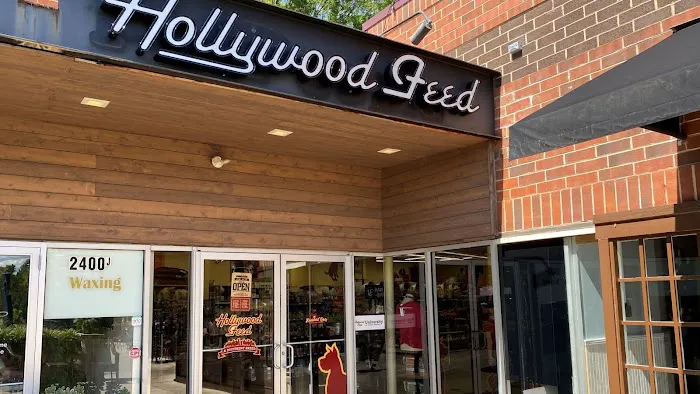 Hollywood Feed Picture 10