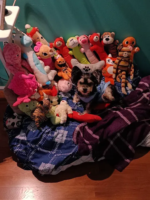 Banfield Pet Hospital Picture 6