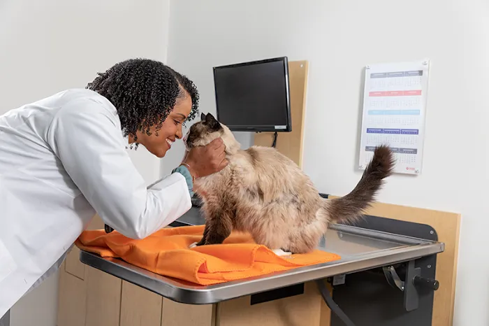 Banfield Pet Hospital Picture 8