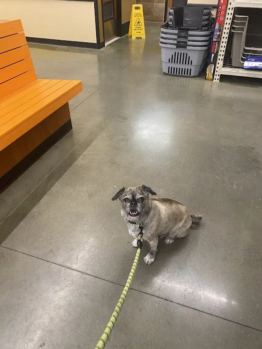 Banfield Pet Hospital Picture 2