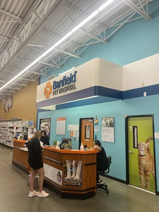 Banfield Pet Hospital Picture 4