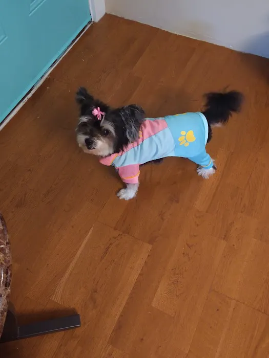 Banfield Pet Hospital Picture 1