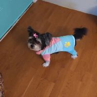 Banfield Pet Hospital ico