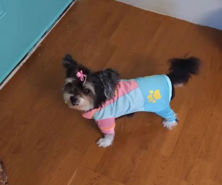 Banfield Pet Hospital