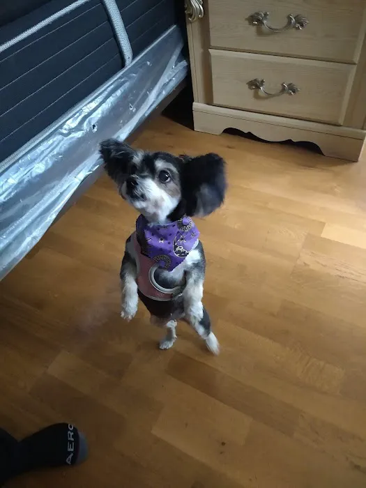 Banfield Pet Hospital Picture 3