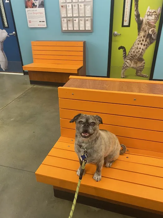 Banfield Pet Hospital Picture 10