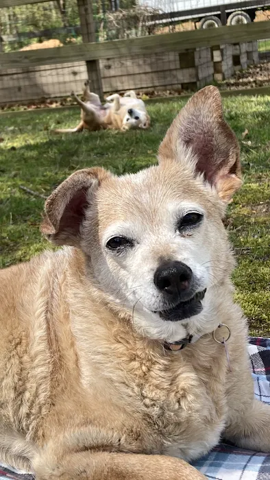 Hollywood Feed Picture 8