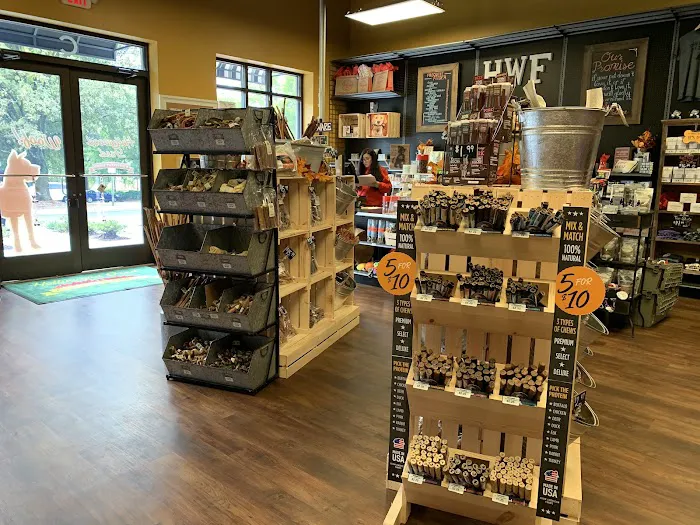 Hollywood Feed Picture 2