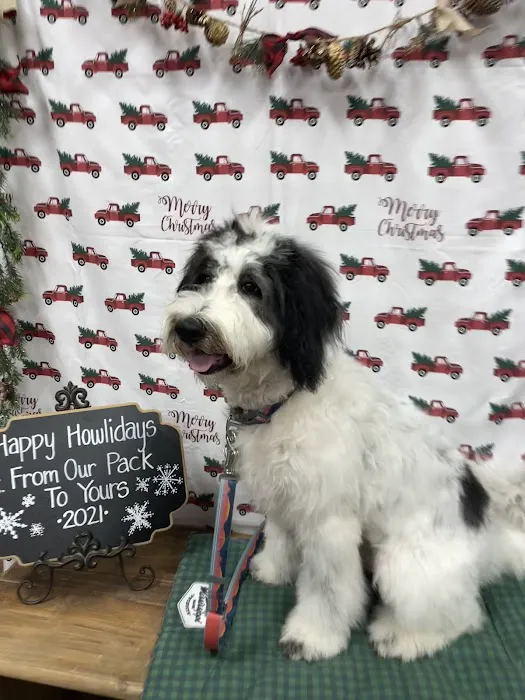 Hollywood Feed Picture 7