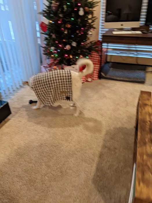 Hollywood Feed Picture 5