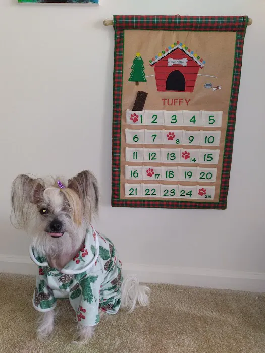 Hollywood Feed Picture 4