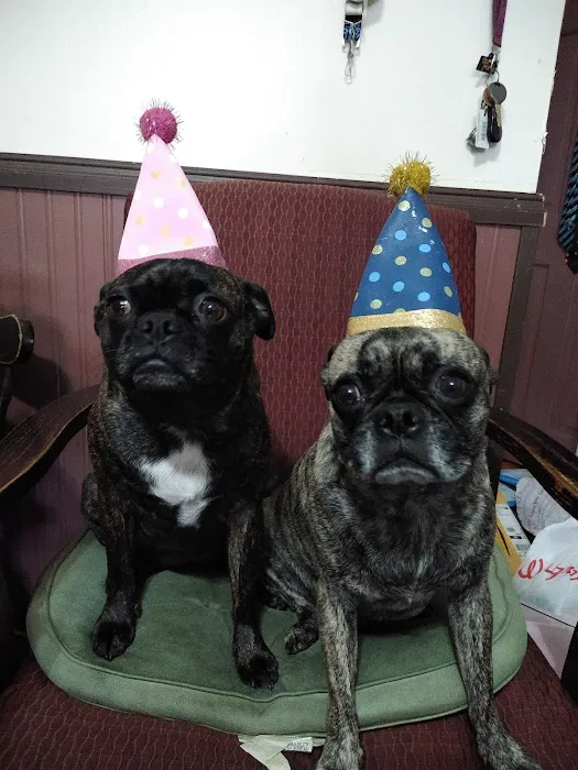 VCA Sterling Animal Hospital Picture 6