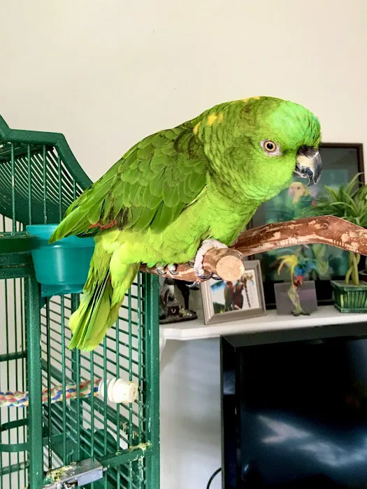 Bantam Lake Animal Hospital Picture 2