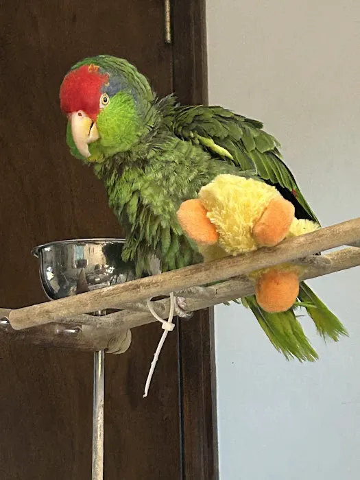 Bantam Lake Animal Hospital Picture 1