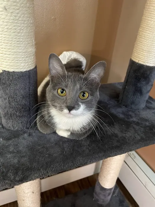 Bantam Lake Animal Hospital Picture 5