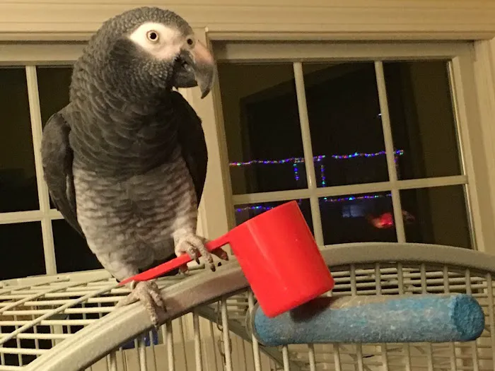 Bantam Lake Animal Hospital Picture 3