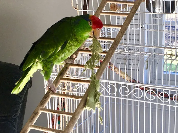 Bantam Lake Animal Hospital Picture 9