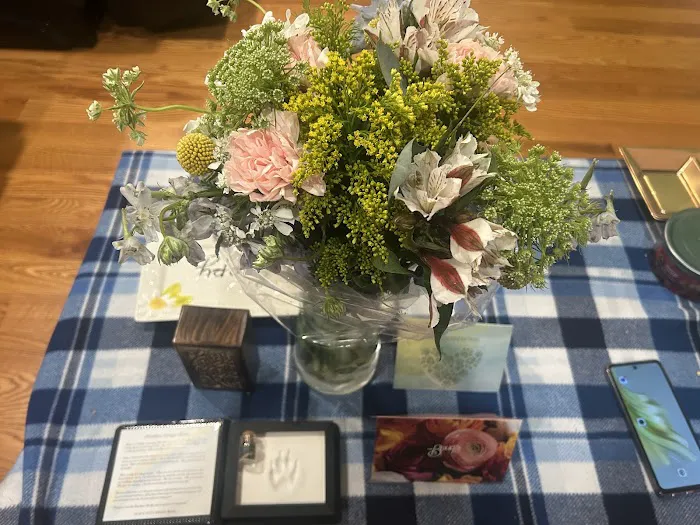 Bantam Lake Animal Hospital Picture 8