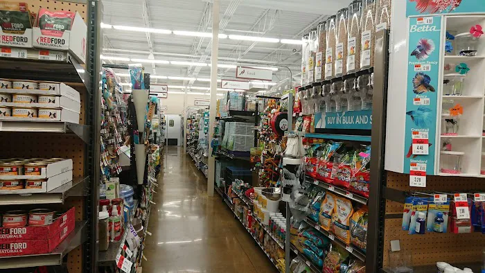 Pet Supplies Plus Charlotte - Sharon Picture 4