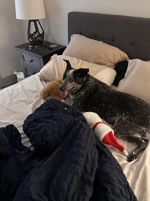 Pet Supplies Plus Charlotte - Sharon Picture 2