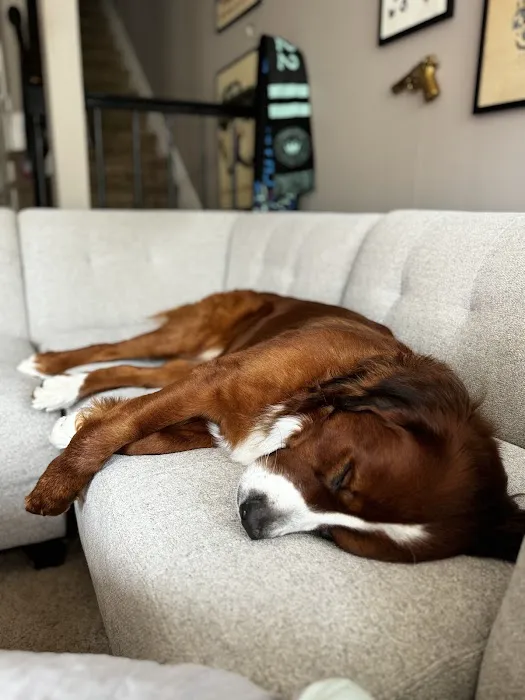 Pet Supplies Plus Charlotte - Sharon Picture 3