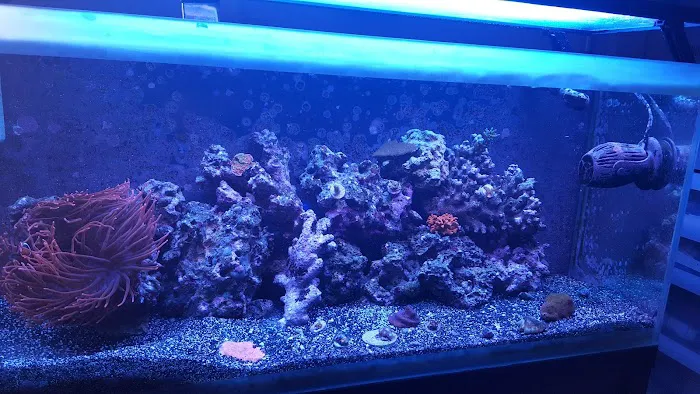 Advanced Aquatic Pets Picture 3
