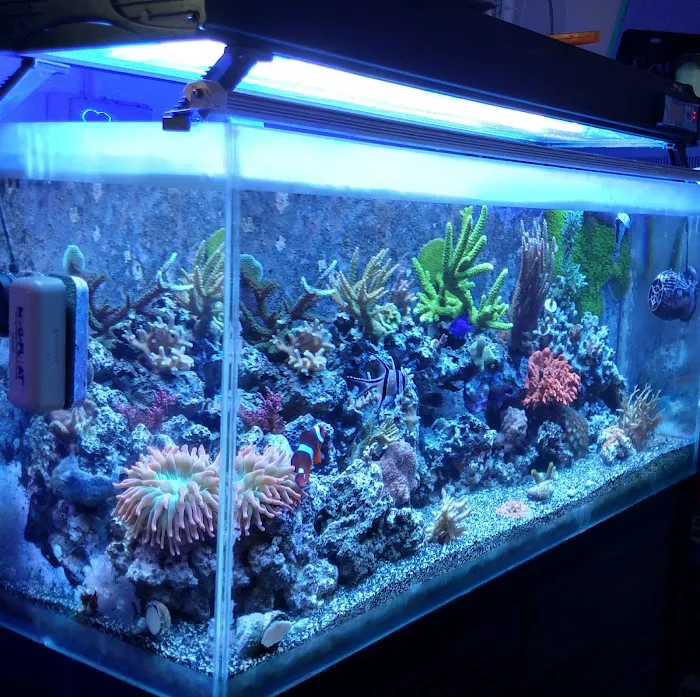 Advanced Aquatic Pets Picture 9