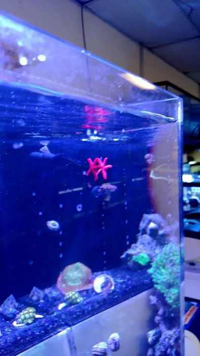 Advanced Aquatic Pets Picture 7