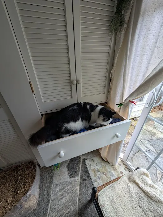 Northwest Corner Veterinary Hospital Picture 2