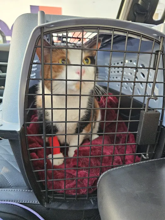 Northwest Corner Veterinary Hospital Picture 3