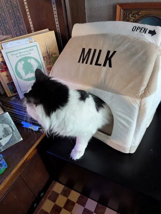 Northwest Corner Veterinary Hospital Picture 5