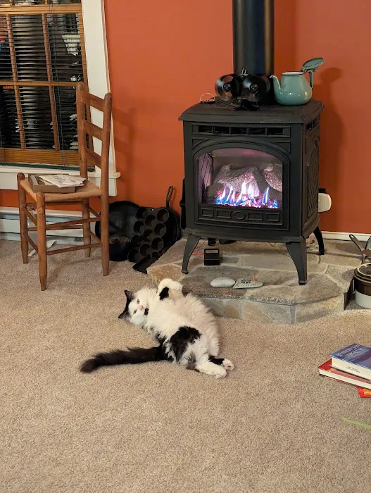 Northwest Corner Veterinary Hospital Picture 4