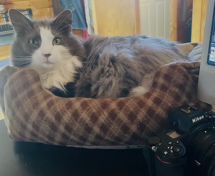 Northwest Corner Veterinary Hospital Picture 1