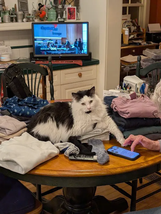 Northwest Corner Veterinary Hospital Picture 9