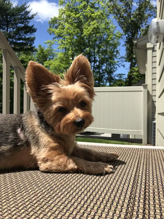 Northwest Corner Veterinary Hospital Picture 10