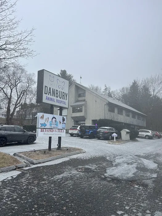 Danbury Animal Hospital Picture 5