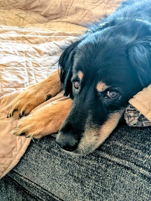 Danbury Animal Hospital Picture 6