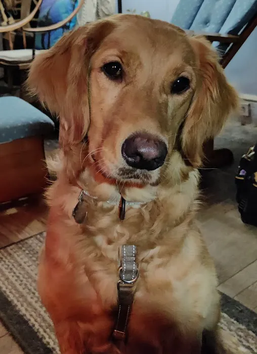 Danbury Animal Hospital Picture 7