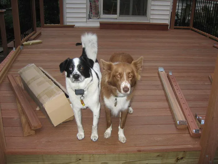 Danbury Animal Hospital Picture 1