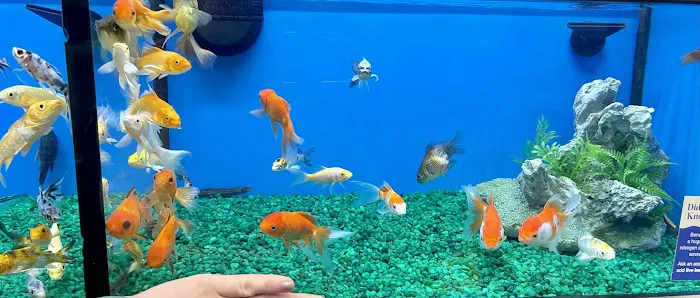 Pet Supermarket Picture 2